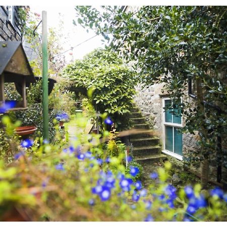 Abbey Place Net Loft Mousehole Bagian luar foto